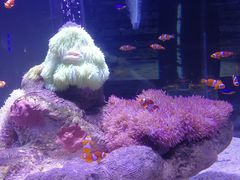 -太平洋海底世界