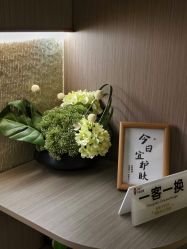 -半岛故事·法儿曼抗衰·indiba中心