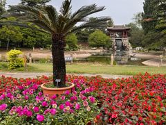 -国家植物园南园