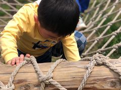 -武汉紫薇都市田园