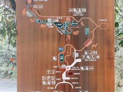 -普洱太阳河森林公园
