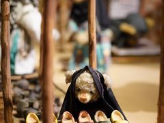 -成都泰迪熊博物馆