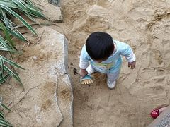 -荔湾区儿童公园