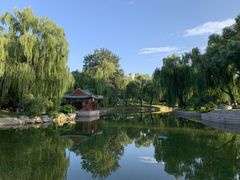 -万柳阁小馆·花园餐厅(龙潭湖店)