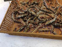 -川骄海鲜自助(河东店)
