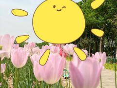 -石家庄市植物园