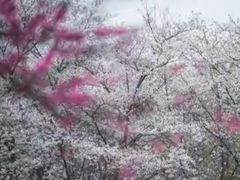 -千龙湖生态旅游度假区