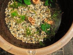 -瓦舍茶馆(聚源路店)