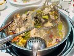 -龙鑫记清远脆皮鸡胡椒猪肚鸡