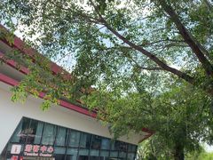 -南宁花花大世界景区