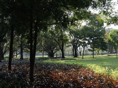 -云溪植物园
