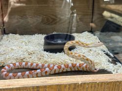 -Zoolung Zoolung动物主题公园(海信广场店)