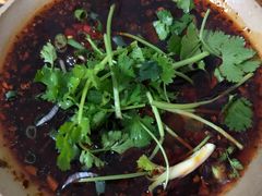 沾水菜-汝萍传统蘸水菜(春华路总店)