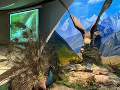 -陕西自然博物馆