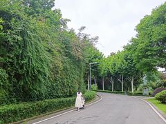 -重庆园博园