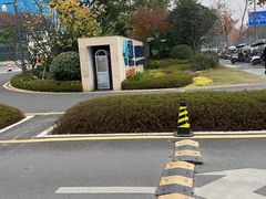 -雍容荟帝王蟹活龙虾展台自助(IFS黑金店)