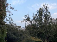 -元大都城垣遗址公园