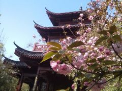 -堤角公园
