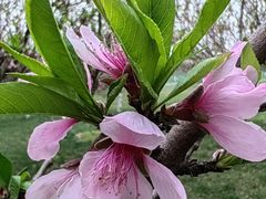 -汉长安城未央宫国家考古遗址公园