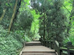 -青城山