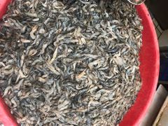 -青石桥市场北1-27号