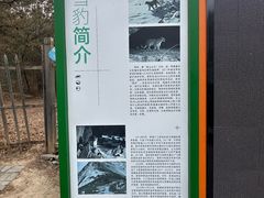 -青藏高原野生动物园
