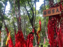 -帽儿山风景区