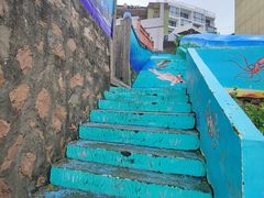 -枸杞岛