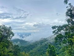 -海南热带雨林国家公园吊罗山景区