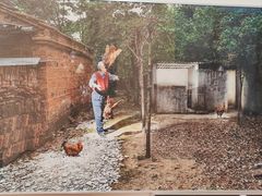 -四川美术学院美术馆