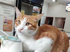 -珊珊小笼馆(仙霞路店)
