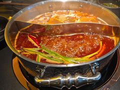 -季季山•云南野生菌火锅(上海首店)