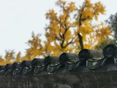 -大觉寺-停车场