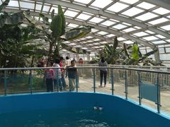 -石家庄市动物园