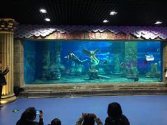 -梦幻海洋王国(吾悦广场张家港店)