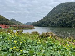 -广州市石门国家森林公园