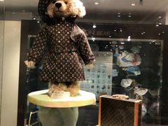 -济州岛泰迪熊博物馆