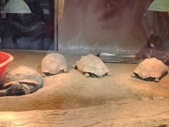 -鄂尔多斯野生动物园