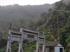 -午潮山国家森林公园
