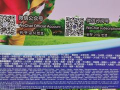 -灵玲国际马戏城