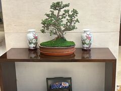 -北京西单美爵酒店