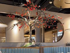 -佬肥猫(国华广场店)