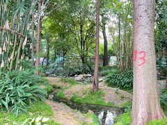 -成都市活水公园