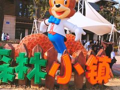 -苏州乐园森林水世界