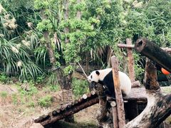 -宁波野生动物园