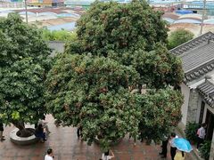 -广州神农草堂中医药博物馆