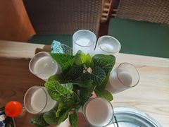 -探窝·竹笙椰子鸡(杨箕店)