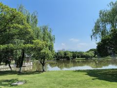 -江心屿景区