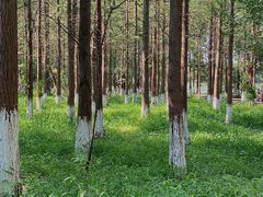-艾溪湖湿地公园