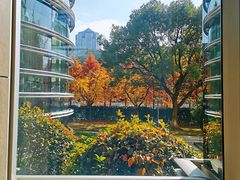 -1013 PET SHOP精品宠物商店(丁香店)